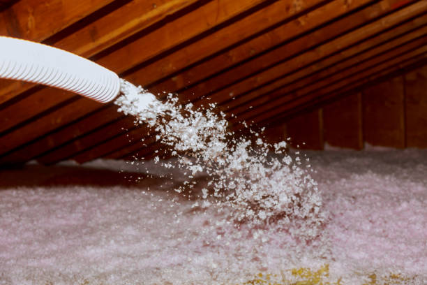 Best Residential Insulation in St Augustine, FL