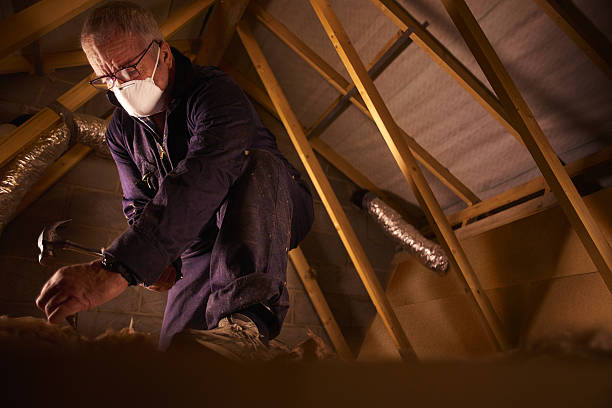 Best Insulation for Specific Applications in St Augustine, FL
