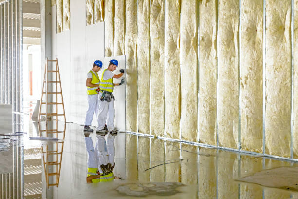 Types of Insulation We Offer in FL